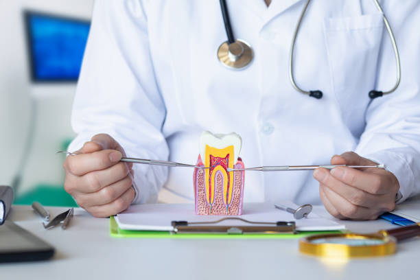 Best Emergency Wisdom Teeth Removal in Feather Sound, FL